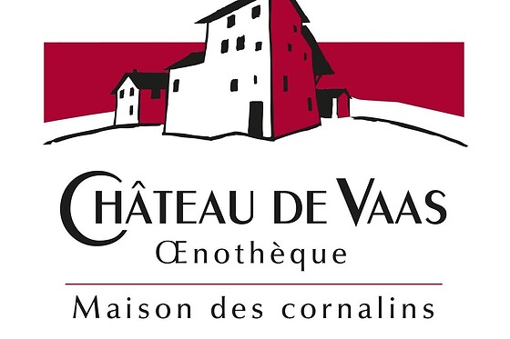 Château de Vaas (Valais) - photo 9