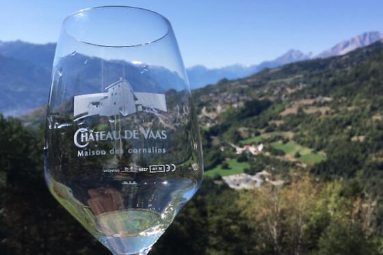 Château de Vaas (Valais) - photo 4